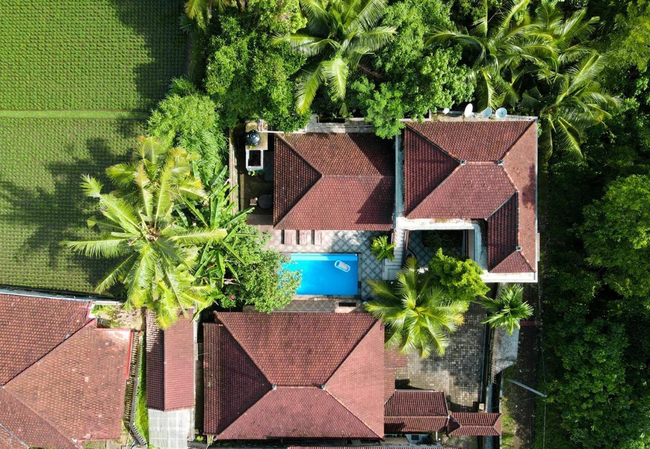 Balimas Guest House Ubud Dış mekan fotoğraf