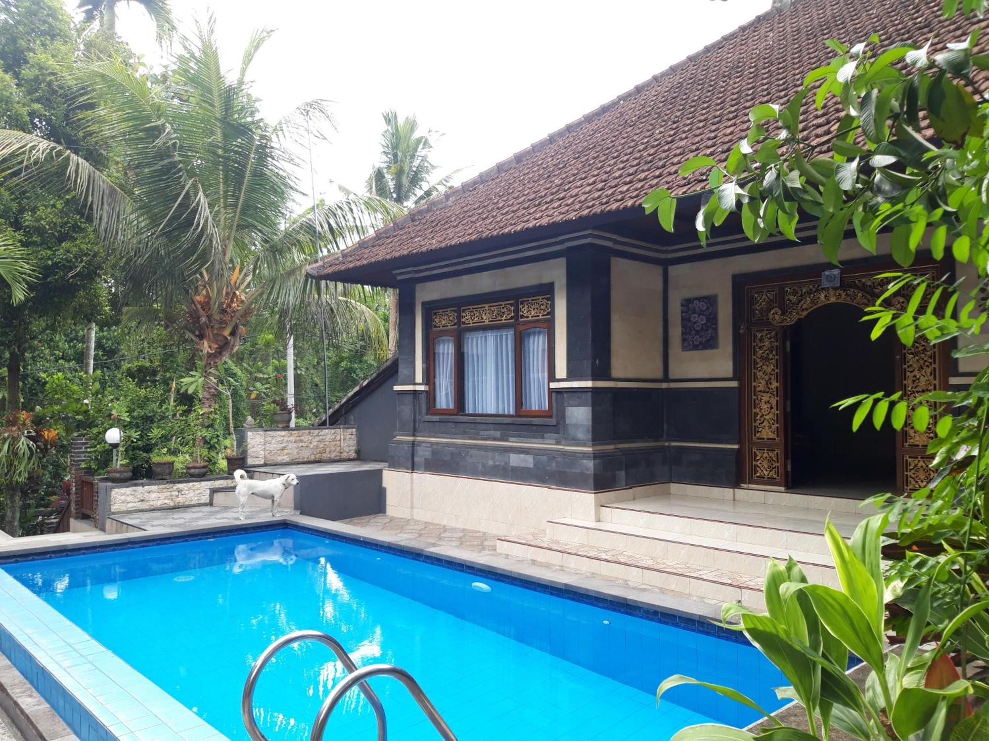 Balimas Guest House Ubud Dış mekan fotoğraf