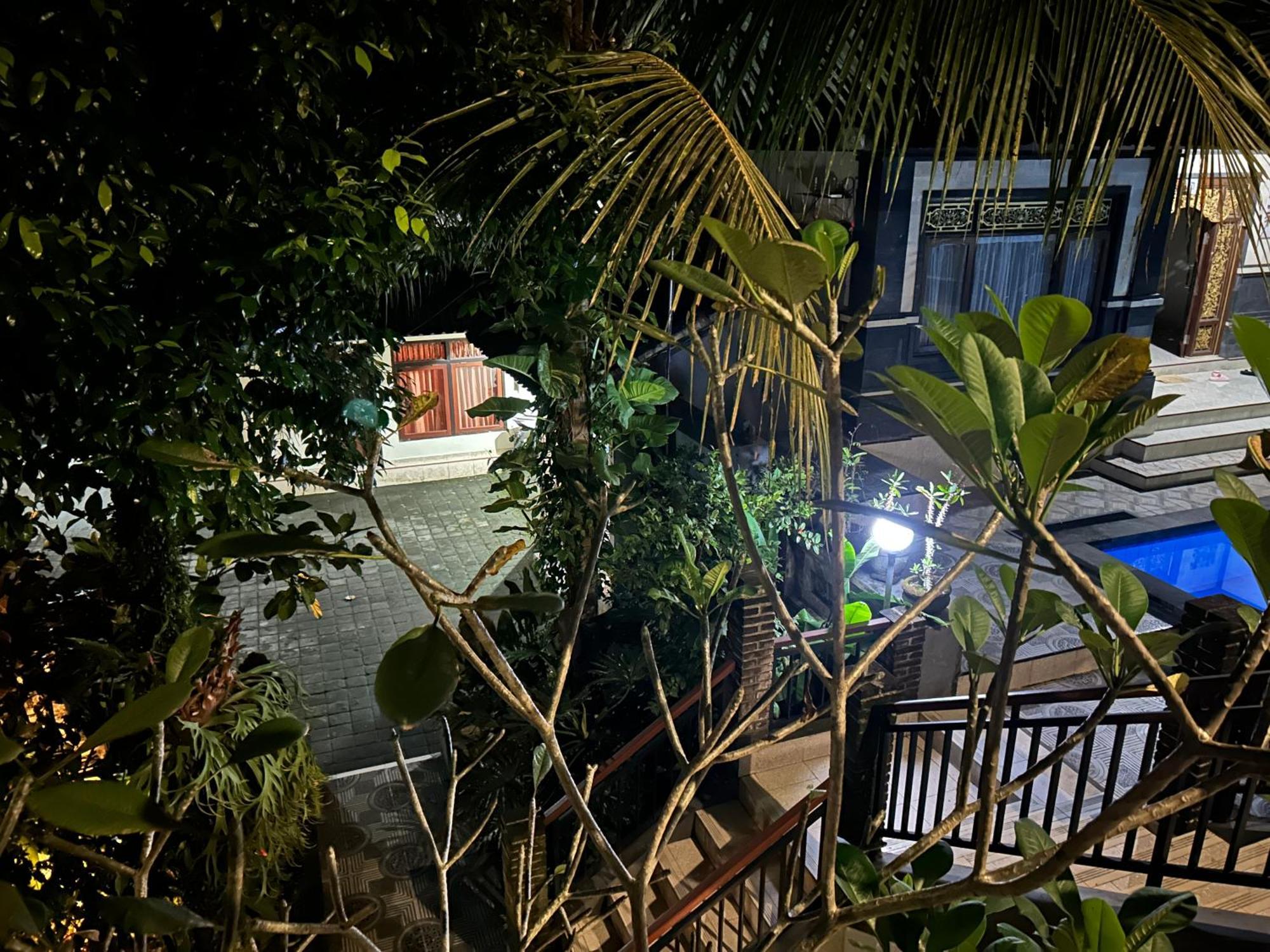 Balimas Guest House Ubud Dış mekan fotoğraf
